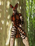 anthro forest horn jungle male male/male ossicone plant solo tree moonringred giraffid mammal okapi absurd_res hi_res