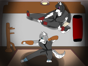anthro black_body black_fur dojo duo fur grey_body grey_fur karate kyojin_rioishi male martial_arts martial_arts_uniform punching_bag sportswear tetsu_rioishi wing_chun brutus_airsoft canid canine canis domestic_dog husky mammal nordic_sled_dog spitz 4:3 hi_res brother_(lore) brothers_(lore) sibling_(lore)