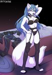 anthro blue_hair breasts chest_tuft clothing collar ear_tuft female fur garter_straps hair hand_behind_head legwear lingerie looking_at_viewer solo stockings tail tuft underwear undressed white_body white_fur kaitycuddle deva_callahan canid canine mammal 2022