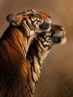 black_stripes duo feral fur grass orange_body orange_fur pink_nose plant quadruped realistic realistic_feral savanna stripes whisker_spots whiskers white_cheeks white_chest white_neck white_whiskers agustindiazart felid mammal pantherine tiger 2021 3:4 hi_res painting_(artwork)
