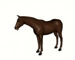 3d ambiguous_gender animated black_eyes brown_body chriddof equine feral hooves horse mammal open_mouth plain_background solo standing white_background
Rating: Safe
Score: 0
User: titaniachkt
Date: March 30, 2014