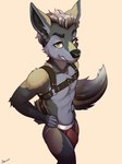 anthro brown_eyes bulge fur looking_at_viewer male multicolored_body multicolored_fur smile solo two_tone_body two_tone_fur yildunstar canid canine canis mammal wolf hi_res