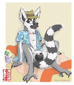 aloha_shirt anthro balls bottomless bottomless_anthro clothed clothing eyewear fedora genitals glasses hat headgear headwear male pattern_clothing pattern_shirt pattern_topwear shirt solo topwear fennec_(artist) kia_(lawmonkey) lemur mammal primate strepsirrhine