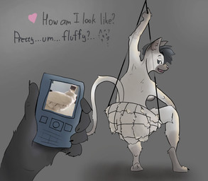 ambiguous_gender anthro blue_eyes breasts butt duo electronics female first_person_view grey_body heart_symbol looking_at_viewer nails net nude nude_anthro nude_female paws phone phone_screen photo question_mark sitting smile solo_focus tail teeth text tongue white_body lemgrum domestic_cat felid feline felis mammal english_text hi_res