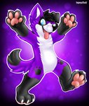 anthro black_hair claws fur hair happy male one_eye_closed pawpads paws purple_body purple_fur raised_arm solo tongue tongue_out wink sephyfluff pawalo canid canine canis domestic_dog elkhound mammal spitz