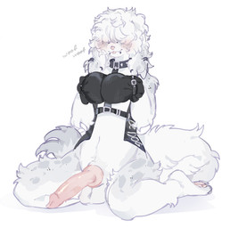 accessory animal_genitalia animal_penis anthro armwear balls bdsm belt big_penis bodily_fluids bondage bound canine_genitalia canine_penis clothing collar covered_eyes ear_piercing facial_piercing female fluffy genitals gloves hands_tied handwear herm intersex kneeling knot limited_movements lip_piercing male maleherm necktie penis piercing pink_penis roleplay service service_animal sitting slave solo tied_body molokoo17 canid canine canis domestic_dog mammal hi_res