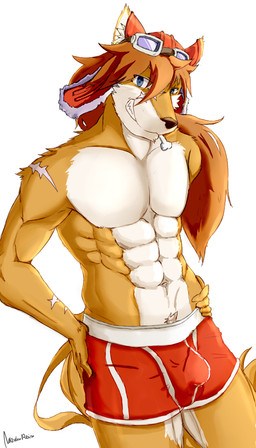 abs anthro bone boxer_briefs bulge clothing fur grin hands_on_hips headgear headwear looking_at_viewer male muscular muscular_anthro muscular_male navel orange_body orange_fur red_clothing red_underwear simple_background smile solo underwear white_background soliscanis cyberconnect2 little_tail_bronx solatorobo red_savarin akita akita_inu canid canine caninu canis domestic_dog mammal spitz 2015 4:7 signature