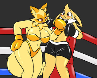 anthro anthrofied blush bodily_fluids bow_tie boxing boxing_gloves boxing_shorts bra clothing duo female fighting_ring handwear male male/female sport sweat sweatdrop teasing underwear the_k9_empire vulpinecrew nintendo pokemon eeveelution generation_1_pokemon generation_9_pokemon jolteon pokemon_(species) sprigatito absurd_res hi_res watermark