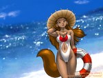 2006 4:3 amber_eyes anthro beach biped breasts brown_hair camel_toe canid canine canis chest_tuft cleavage clothed clothing copyright_symbol day detailed_background domestic_dog dr_comet female fur hair hat headgear headwear hi_res life_ring long_hair mammal nipple_outline one-piece_swimsuit outside sand sea seaside sky solo standing summer swim_ring swimwear symbol tail tuft wallpaper water