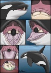 cetacean comic dolorcin dolphin duo feet_first feral feral_pred hi_res human in_throat male mammal marine motion_lines nude oceanic_dolphin oral_vore orca size_difference soft_vore swallowing tongue toothed_whale underwater vore water willing_prey