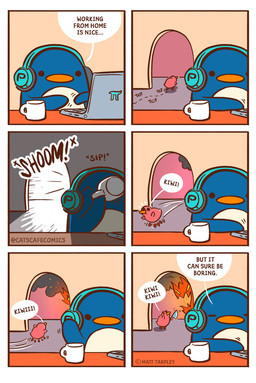 ambiguous_gender angry beak beverage black_eyes blue_body building close-up computer container cup dialogue duo electronics ellipsis exclamation_point explosion eyes_closed feral fire headphones house inside knife laptop open_mouth orange_beak pink_body running simple_eyes sipping sitting smoke speech_bubble standing text typing white_body catscafecomics kiwi_(catscafe) penguin_(catscafe) animate_inanimate avian bird elemental_creature fire_creature kiwi_(bird) monster penguin ratite 2020 comic english_text