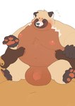 anthro balls belly big_balls big_belly blush brown_body duo genitals kemono male moobs nipples overweight overweight_male penis solo_focus haoming canid canine mammal raccoon_dog tanuki 2024 hi_res