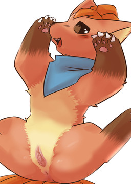 4_fingers 7_tails anus blue_kerchief blue_neckerchief blush blush_lines brown_body brown_eyes brown_fur clothed clothed_feral clothing fangs female female_feral feral fingers fur genitals glistening glistening_eyes gloves_(marking) humanoid_genitalia humanoid_genitalia_on_feral humanoid_vulva humanoid_vulva_on_feral kerchief leg_markings looking_at_viewer markings mismatched_genitalia mismatched_humanoid_vulva mismatched_vulva multi_tail multicolored_body multicolored_fur neckerchief neckwear open_mouth orange_body orange_fur orange_tail pawpads paws pink_anus pink_pawpads quadruped simple_background socks_(marking) solo spread_legs spreading tail tan_body tan_fur teeth tongue vulva white_background pu_sukebe nintendo pokemon canid canine generation_1_pokemon mammal pokemon_(species) vulpix 2021 digital_drawing_(artwork) digital_media_(artwork) hi_res