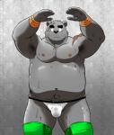 anthro bulge clothed clothing kemono male navel pubes solo topless wrestling_briefs shiba-kenta daigo_kumano bear mammal