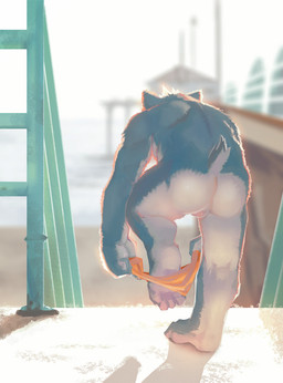 anthro balls butt clothed clothing clothing_around_one_leg feet fur genitals male multicolored_body multicolored_fur nude partially_clothed penis rear_view solo toes two_tone_body two_tone_fur two_tone_tail underwear underwear_around_one_leg underwear_down undressing lanoodles canid canine mammal 2015 hi_res