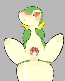 :o anus blush bodily_fluids brown_eyes bubble cervix covering_chest cum cum_bubble cum_in_vagina cum_inside female feral gaping gaping_vagina genital_fluids genitals green_body leaking_cum looking_down looking_pleasured lying open_mouth plant simple_background small_body solo spread_legs spreading stretched_anus stubby_legs tail vines vulva reversed_(artist) nintendo pokemon generation_5_pokemon pokemon_(species) reptile scalie snake snivy hi_res