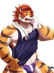 abs anthro bulge clothing hair male muscular muscular_anthro muscular_male nipples pecs red_hair shirt solo speedo swimwear tank_top topwear towel chuurow lifewonders tokyo_afterschool_summoners nomad_(tas) felid mammal pantherine tiger 3:4 hi_res