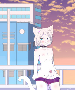 anthro balls blush bodily_fluids briefs clothing collar cum detailed_background embarrassed erect_nipples erection exhibitionism foreskin fur genital_fluids genitals hair male markings nipples nude penis purple_clothing purple_underwear solo sunset tribal tribal_markings underwear undressing komodo89 domestic_cat felid feline felis mammal absurd_res hi_res