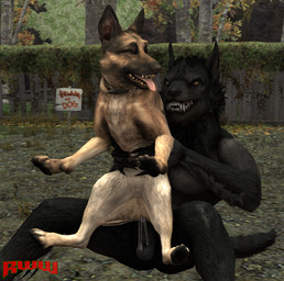 animal_genitalia animal_vulva anthro anthro_on_feral anthro_penetrating anthro_penetrating_feral bestiality beware_of_dog bodily_fluids canine_genitalia canine_vulva cum cum_drip cum_in_vagina cum_inside dripping duo female female_penetrated fence feral feral_penetrated forest genital_fluids genitals holding_another humor male male/female male_penetrating male_penetrating_female penetration penile penile_penetration penis_in_vagina plant seated_sex sex sign tree vaginal vaginal_penetration vulva renderswithwolves fallout microsoft mythology dogmeat skyrim_werewolf canid canine canis domestic_dog german_shepherd herding_dog mammal mythological_canine mythological_creature pastoral_dog werecanid werecanine werecreature werewolf