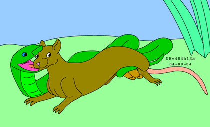 balls blue_eyes blue_sky brown_body brown_fur coiling_around_balls duo feral fur genitals grass green_body green_grass green_scales imminent_oral_vore imminent_vore male male/male open_mouth pink_nose plant scales sky tail tongue urbanhermit mammal murid murine rat reptile rodent scalie snake 2004 colored dated