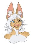 anthro ear_piercing heterochromia licking licking_lips licking_own_lips piercing self_lick smile solo tongue tongue_out beetleinabottle rose_dandy-ba canid canine fennec_fox fox hybrid mammal mink mustelid musteline true_fox true_musteline absurd_res bust_portrait hi_res portrait