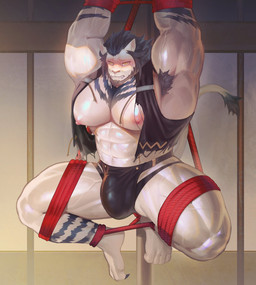 abs anthro armpit_hair bdsm big_bulge big_muscles big_nipples big_pecs black_hair black_stripes blush body_hair bondage bound bulge captured clothed clothing fangs hair lifted male muscular muscular_anthro muscular_arms muscular_male nipples partially_clothed pecs raised_arms red_rope restrained restraints rope rope_bondage rope_harness solo stripes tail teeth thick_thighs white_body yellow_eyes kult2k final_fantasy final_fantasy_xiv final_fantasy_xiv:_shadowbringers square_enix runar_(ffxiv) felid hrothgar mammal hi_res