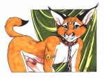 anthro collar erection fur genitals humanoid_genitalia humanoid_penis leaning leaning_forward looking_at_viewer male nude orange_body orange_fur penis solo tail terrie_smith caracal caracal_(genus) domestic_cat felid feline felis mammal 2005 absurd_res hi_res signature traditional_media_(artwork)