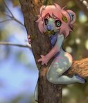 alternate_species anthro biped blue_body blue_fur breasts casual_nudity claws eyelashes featureless_breasts feet female freckles fur hair heart_eyes heart_symbol leaf looking_at_viewer nude outside paws pink_hair plant solo tree kolae kolae_(character) koala mammal marsupial vombatiform 2023 hi_res shaded