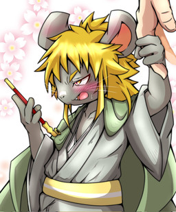 anthro asian_clothing blonde_hair blush bodily_fluids buckteeth cape clothing duo east_asian_clothing embarrassed fur grey_body grey_fur hair half-closed_eyes hand_holding holding_pipe japanese_clothing male narrowed_eyes open_mouth sweat teeth tongue tsundere young young_anthro young_male kemo_yuko human mammal mouse murid murine rodent 2026 hi_res japanese_description