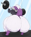 anthro big_breasts big_butt bodily_fluids breasts butt camel_toe cellulite clothing crouching deadlift dumbbell exercise female hair hoodie huge_butt hyper hyper_butt open_mouth purple_eyes purple_hair solo sweat sweaty_butt thick_thighs thong topwear underwear weightlifting weights white_body workout stemingbunbun valrie_(valriedoughs) lagomorph leporid mammal rabbit absurd_res hi_res