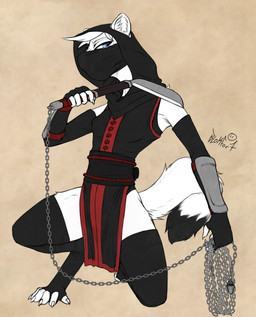 armor asian_clothing assassin blue_eyes breasts chain clothed clothing crouching female fur hood legwear mask nipple_outline sickle simple_background sleeves small_breasts solo stockings weapon white_body white_fur blokfort mammal mustelid musteline stoat true_musteline weasel 2026 hi_res watermark