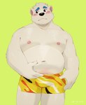 2022 anthro bear belly blush bulge clothing green_background hi_res humanoid_hands kemono male mammal merfiller moobs navel nipples overweight overweight_male simple_background solo underwear