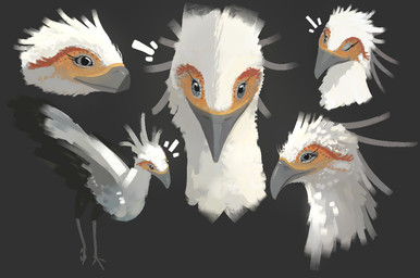 ambiguous_gender beak feathers feral grey_background grey_beak grey_eyes happy looking_at_viewer one_eye_closed orange_body orange_feathers red_body red_feathers simple_background smile smiling_at_viewer white_body white_feathers wink winking_at_viewer shufflefur accipitriform avian bird secretary_bird model_sheet