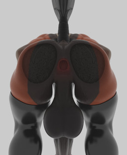 against_surface animal_genitalia animal_penis anthro anus ass_on_glass athletic athletic_anthro athletic_male balls big_balls big_butt big_penis black_clothing black_legwear black_stockings brown_body butt clothing equine_genitalia equine_penis genitals glass glistening glistening_body glistening_butt horse_tail intersex latex latex_clothing latex_legwear latex_stockings legwear male on_glass open_anus orange_body penis simple_background solo stockings tail white_background wide_hips tonyturbo leodamodeler_(modeler) marcia_(leodamodeler) equid equine horse mammal 3d_(artwork) absurd_res digital_media_(artwork) hi_res gynomorph_(lore)
