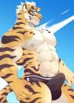 5_fingers anthro balls big_pecs bulge chest_tuft clothed clothing countershading erection erection_under_clothing fingers genitals male muscular muscular_anthro muscular_male nipples pecs penis sky smile smirk solo speedo swimwear tenting thick_thighs tuft kumak71395 nekojishi studio_klondike lin_hu felid mammal pantherine tiger 2018 hi_res