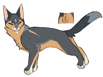 anus blue_body blue_eyes blue_fur facial_markings female feral forehead_markings fur genitals head_markings markings orange_body orange_fur scar shoulder_scar simple_background smile solo star_(marking) vulva white_background anglwshot warriors_(book_series) bluestar_(warriors) abyssinian_cat domestic_cat felid feline felis mammal model_sheet