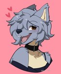 anthro blue_body blue_fur brown_eyes collar countershade_torso countershading fangs female fur heart_symbol open_mouth open_smile pink_background simple_background smile solo teeth tongue cherry_beries maku_(maku450) canid canine canis mammal wolf 2024 absurd_res digital_drawing_(artwork) digital_media_(artwork) hi_res signature