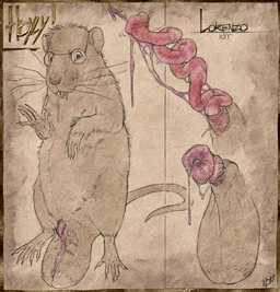 5_fingers 5_toes animal_genitalia animal_penis anthro areola aroused balls big_balls big_penis biped bodily_fluids bodily_fluids_drip buckteeth claws cum cum_strand cumshot cutaway digitigrade disembodied_penis dripping ejaculation erection eyewear feet feral finger_claws fingers foreskin front_view fur furry_tail genital_fluids genitals glasses huge_balls hybrid_genitalia logo long_penis long_tail looking_at_viewer lorenzo_(kit) low-angle_view male male_feral multi_nipple nipples nude penis pink_penis precum precum_drip precum_on_penis purple_penis ribbed_penis saggy_balls simple_background slightly_chubby slightly_chubby_anthro slightly_chubby_feral slightly_chubby_male solo spiral_penis standing tail teeth text textured_background thick_penis three-quarter_view toe_claws toes wearing_glasses whiskers hdyly mammal murid murine rat rodent 2025 absurd_res artist_logo artist_name digital_drawing_(artwork) digital_media_(artwork) english_text flat_colors hi_res signature male_(lore)