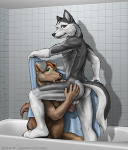 anthro anthro_on_anthro backsack balls bath bathroom butt caught_in_the_act duo genitals green_eyes heterochromia holding_object holding_towel looking_at_viewer male male/male navel nude open_mouth smile tail towel water wooky canid canine canis domestic_dog husky mammal nordic_sled_dog spitz 2005