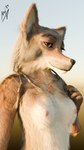 anthro areola female female_anthro fur hair natural nipples pose solo tribal reaching_art naala canid canine canis domestic_dog fox mammal wolf 3d_(artwork) 9:16 digital_media_(artwork) hi_res