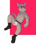 amputee blush bodily_fluids clothing disability jockstrap male solo sweat underwear touyakemone poppy_opossum friedrich_(poppy_opossum) american_opossum mammal marsupial monodelphis 5:6 hi_res