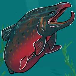 ambiguous_gender countershade_torso countershading dorsal_fin feral fin open_mouth red_body red_countershading scales solo tail tail_fin underwater water flamingpickle aquatic arctic_char char_(fish) fish 1:1
