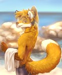 2024 absurd_res anthro arm_over_head arm_tuft blurred_background boxers_(clothing) boxers_only bracelet brown_arms brown_body brown_fur canid canine clothed clothing dipstick_arms dipstick_ears dipstick_tail doppelfoxx dripping ear_markings fox fur fur_tuft hi_res jakkals_van_der_bergh_(doppelfoxx) jewelry koul looking_at_viewer male mammal markings multicolored_ears neck_tuft necklace orange_body orange_eyes orange_fur rock sea seaside shoulder_tuft smile smirk solo swimming_trunks swimwear tail tail_markings topless towel tuft underwear underwear_only water wet wet_body wet_fur wet_tail whiskers