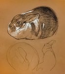 ambiguous_gender brown_background ears_back ears_down feral lying pivoted_ears simple_background solo geordie_millar lagomorph leporid mammal rabbit charcoal_(artwork) low_res sketch traditional_media_(artwork)