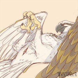 animal_genitalia avian beak bipedal bird cloaca feathers female feral green_eyes osprey solo tenaflux veilwing wings
Rating: Explicit
Score: 12
User: voldosbt
Date: September 13, 2014 animal_genitalia avian beak bipedal bird cloaca feathers female feral green_eyes osprey solo tenaflux veilwing wings
Rating: Explicit
Score: 12
User: voldosbt
Date: September 13, 2014