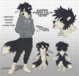 anthro bottomwear cheek_tuft chibi clothed clothing eyes_closed facial_tuft fangs floppy_ears fur grey_body grey_bottomwear grey_clothing grey_eyes grey_fur grey_hair grey_pants grey_topwear hair hand_in_pocket looking_aside male mastectomy_scar mouth_closed multicolored_body multicolored_fur neck_tuft pants pockets scar solo standing teeth text topwear tuft two_tone_body two_tone_fur white_body white_fur princelykaden kaden_(princelykaden) border_collie canid canine canis collie domestic_dog herding_dog mammal pastoral_dog sheepdog english_text hi_res model_sheet trans_(lore) trans_man_(lore)