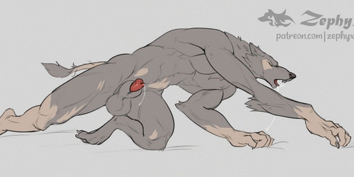 all_fours animal_genitalia animal_penis anthro balls biped bodily_fluids canine_genitalia canine_penis digitigrade drooling erection eyes_closed fur fur_growth genital_fluids genitals grey_balls grey_body grey_fur grey_sheath growth human_to_anthro male penis penis_tip precum saliva sheath solo species_transformation text transformation zephyxus mythology canid canine mammal mythological_canine mythological_creature werecanid werecanine werecreature werewolf 2026 digital_media_(artwork) url