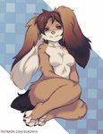 4_toes anthro black_hair brown_eyes feet female floppy_ears fluffy fluffy_ears fluffy_hair freckles fur grey_body grey_fur hair long_ears long_hair lop_ears navel sitting sitting_on_ground smile solo tail text toes white_body white_fur elronya ronya suvi_(elronya) lagomorph leporid mammal rabbit hi_res url