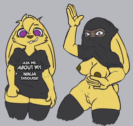 anthro black_clothing black_shirt black_topwear breasts clothed clothing clothing_lift female genitals legwear ninja presenting shirt shirt_lift solo stockings topwear vulva warrior knullox lagomorph leporid mammal rabbit