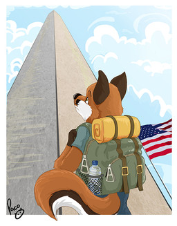 american_flag anthro backpack blue_bottomwear blue_clothing blue_pants blue_shirt blue_sky blue_t-shirt blue_topwear bottle bottomwear clothed clothing cloud container fur male male_anthro mouth_closed orange_body orange_eyes orange_fur pants rear_view shirt sky solo standing t-shirt topwear united_states_of_america white_body white_fur young young_anthro young_male pandapaco canid canine fox mammal